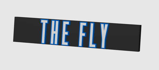 The Fly Display Plaque, 3D Printed