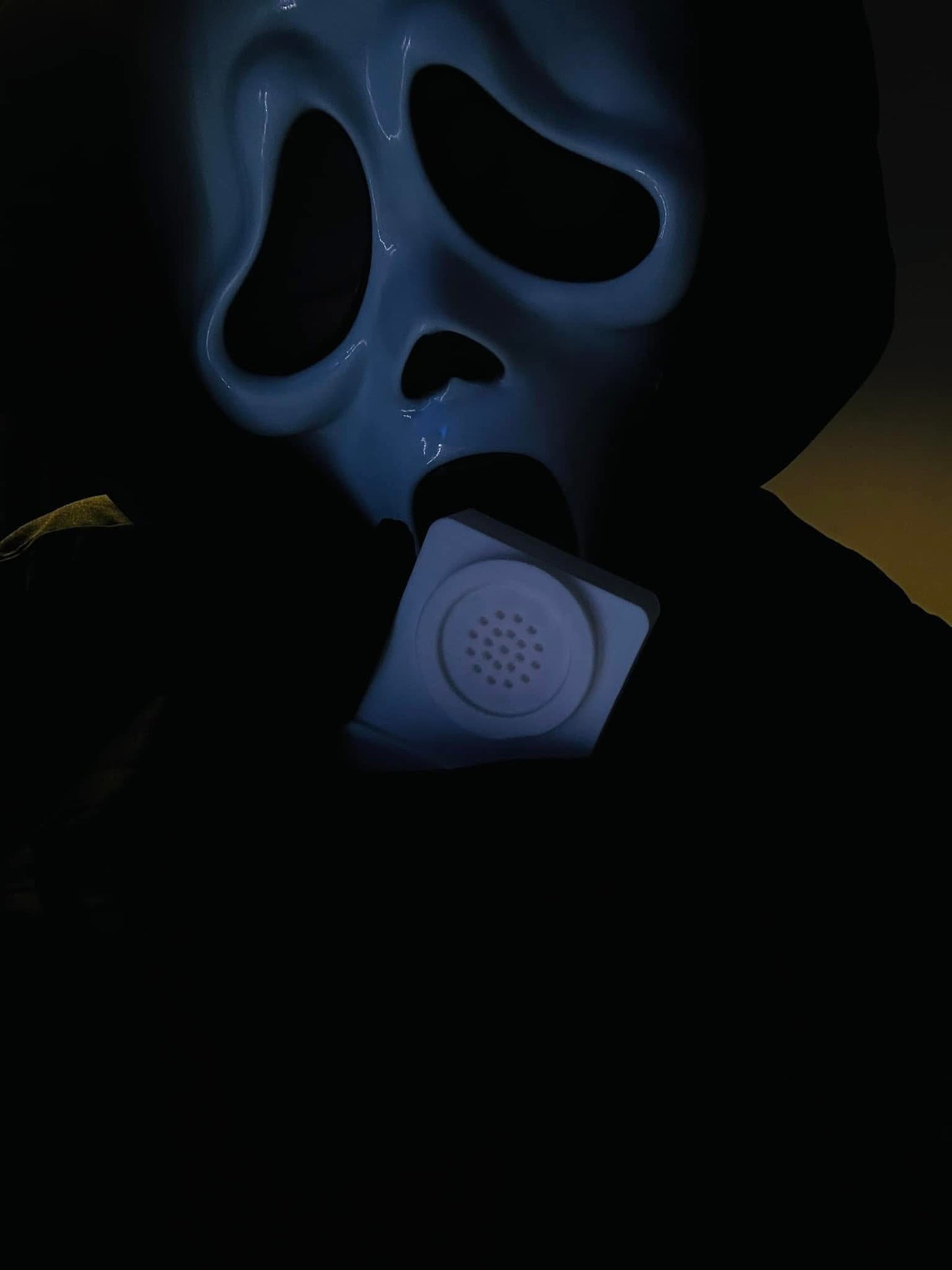 Scream Ghost face (1996) Prop Voice Changer (Non Working), 3D PRINTED